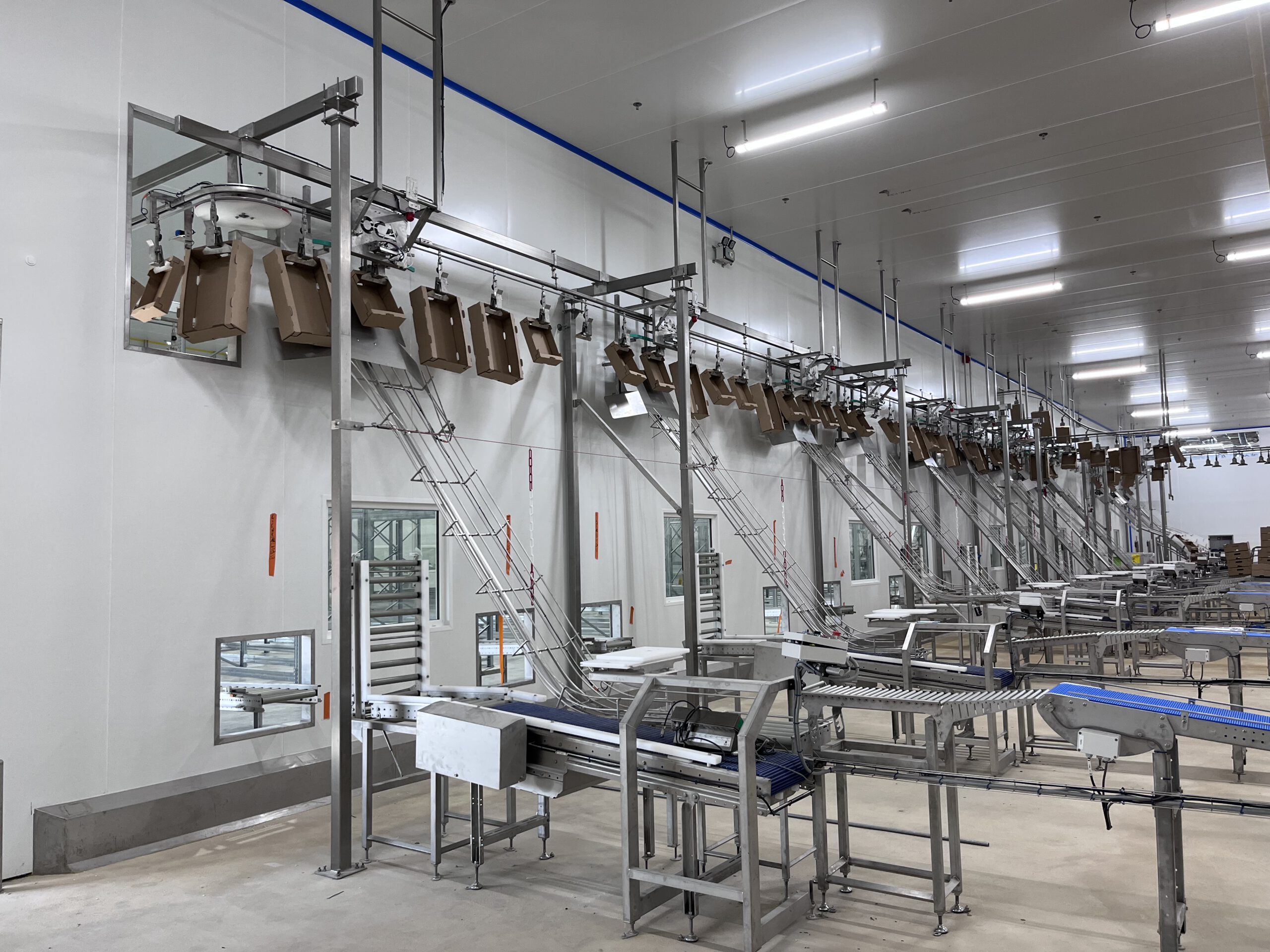 Convoyeur aérien à câble monorail pour le transport de cartons dans l'agroalimentaire