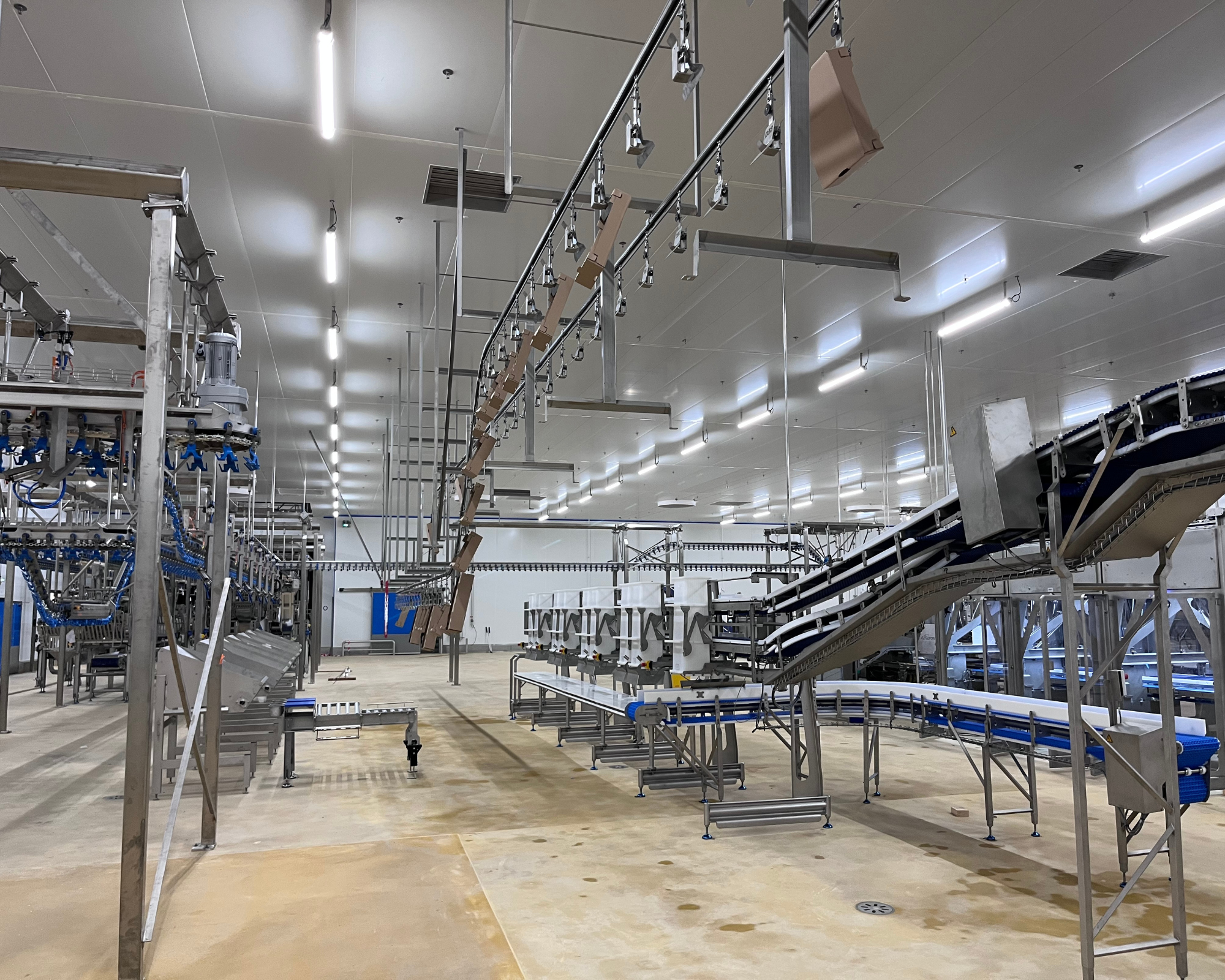 Convoyeur à corde automatisé OCA pour l'agroalimentaire